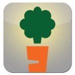 Vegin Out discount code